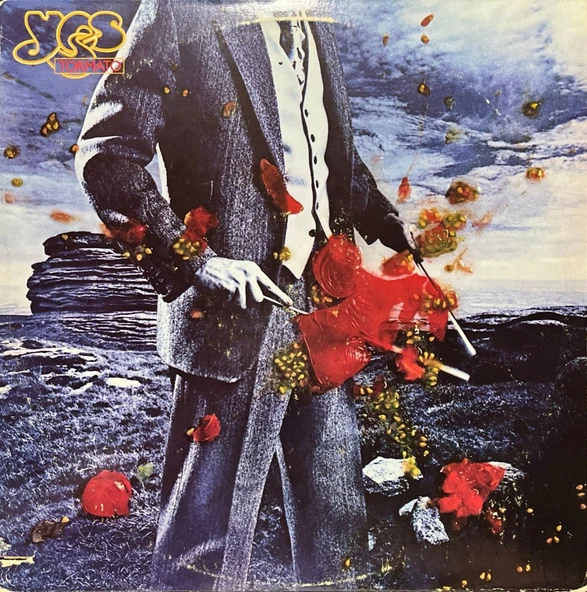 Yes Tormato LP Plak ürün görseli 1