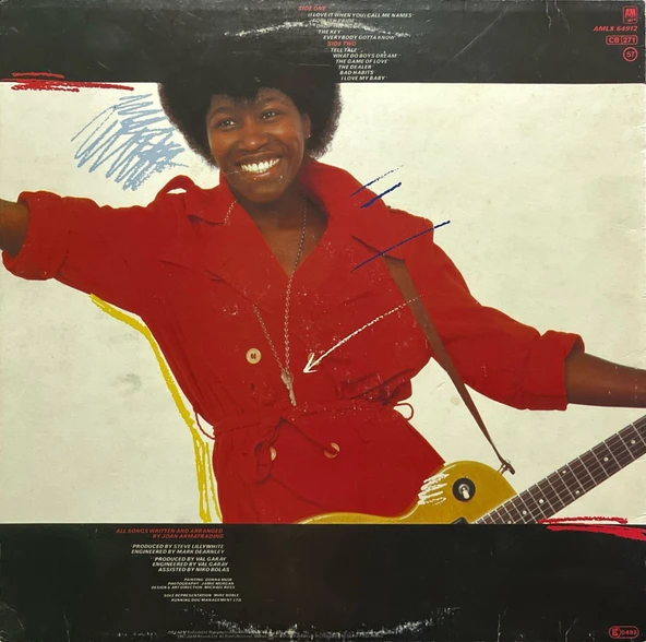 Joan Armatrading The Key LP Plak - Resim 2
