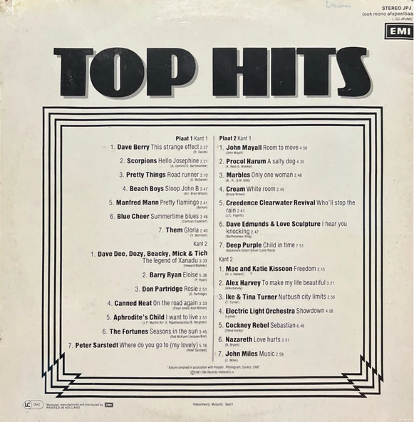 Top Hits Double LP Plak - Resim 2