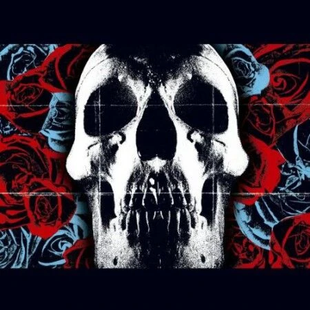 Deftones Deftones LP Plak ürün görseli 1