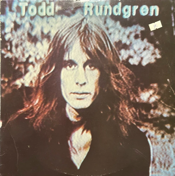 Todd Rundgren LP Plak ürün görseli 1