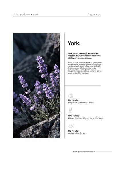 YORK 100 ML NICHE PARFÜM - Resim 2