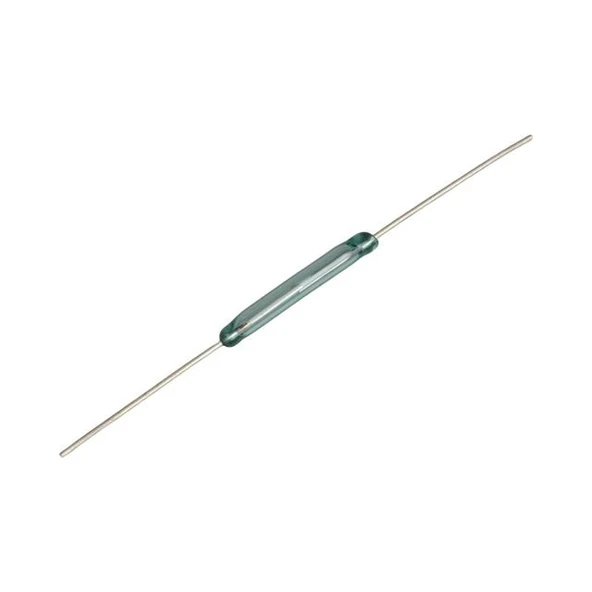 IC-228 Reed Switch 20Mm ürün görseli 1