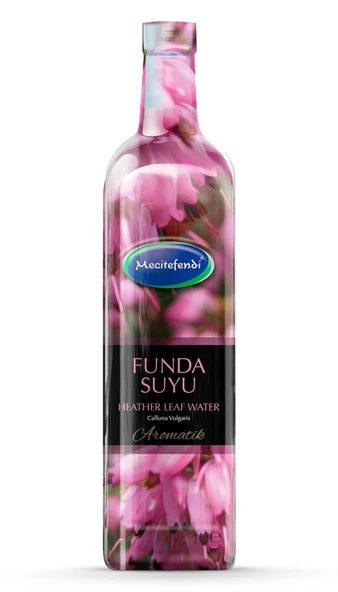 MECİTEFENDİ FUNDA SUYU 1 L ürün görseli 1