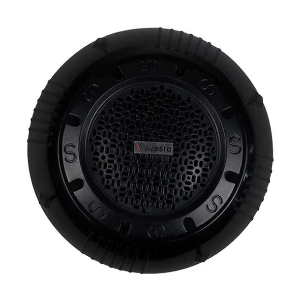 Westa WS-1119TB 13cm Sıva Üstü Siyah Trafolu Tavan Hoparlörü 10 Watt ürün görseli 1