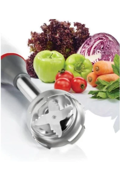 1198-02 HESTIA PRO MULTI EL BLENDER SETI BEYAZ - Resim 4