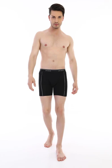 Çift Kaplan 855 Uzun Erkek Boxer - Resim 2