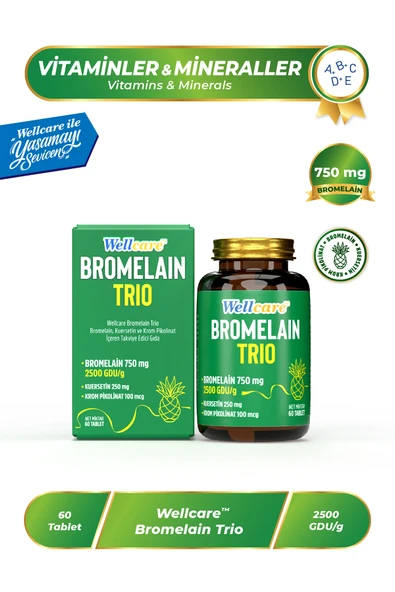 WELLCARE BROMELAIN TRIO 60 TABLET ürün görseli 1