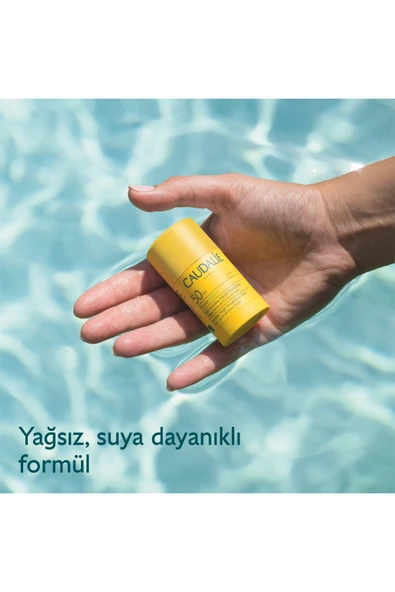CAUDALIE SPF 50 STİCK - Resim 3