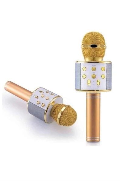 Karaoke Mikrofon Dahili Hoparlörlü Sd-Usb-Aux Girişli Bluetooth Hoparlör ürün görseli 1