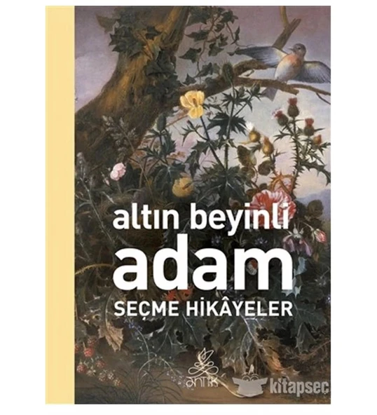Altın Beyi̇Nli̇ Adam Seçme Hi̇Kayeler Anti̇K ürün görseli 1