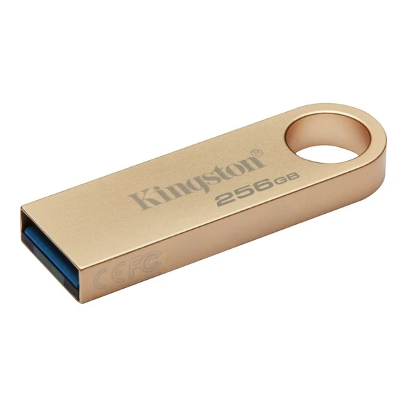 Kingston 256GB DTSE9G3/256GB - Resim 2