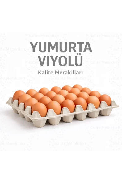 Kalite Meraklıları Kalite Meraklıları(245 Adet) 30'lu Yumurta Viyolü|Karton Yumurta Viyolü |Dayanıklı Yumurta Kartonu ürün görseli 1