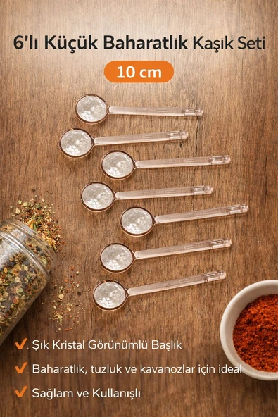 6’lı Küçük Baharatlık Kaşık Seti (9 cm) ürün görseli 1
