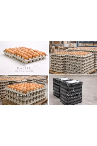 Kalite Meraklıları Kalite Meraklıları(1466 Adet) 30'lu Yumurta Viyolü|Karton Yumurta Viyolü |Dayanıklı Yumurta Kartonu ürün görseli 1