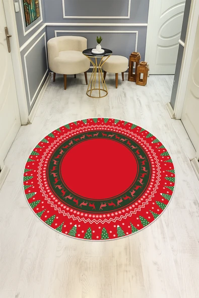 Dijital Baskı Modern Kaymaz Taban Halı H0324 RENKLİ 160 X 160 ürün görseli 1