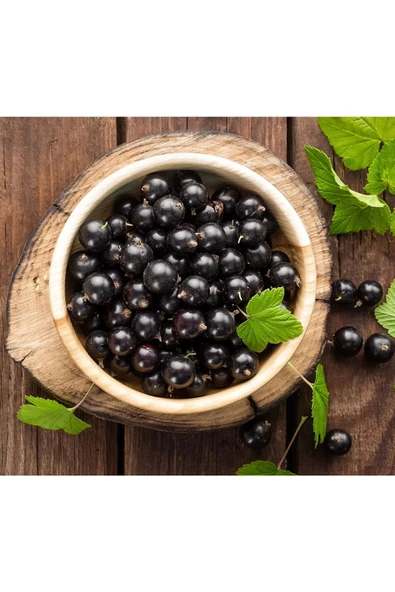 Ocean Spray Cranberry Blackcurrant 1 Lt* 3 Adet - Resim 3