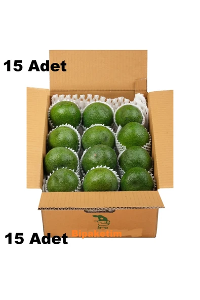 Bipaketim avokado meyvesi taze avocado fruit 15 Adet 1 koli toptan ürün görseli 1