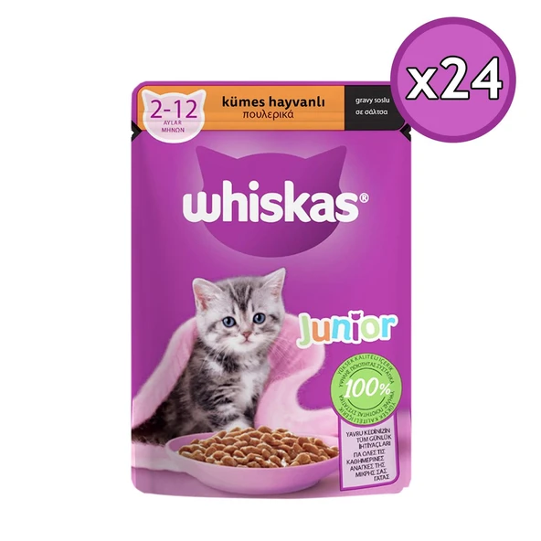 Whiskas Yavru Kümes Hayvanlı Poşet Yaş Kedi Maması 85 gr - 24 Adet ürün görseli 1