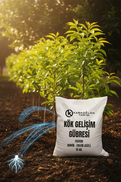karaoğlan tarım Kök Gelişim Gübresi Fosfor Ve Humik Fulvik Asit Ağırlıklı 10 Kg ürün görseli 1