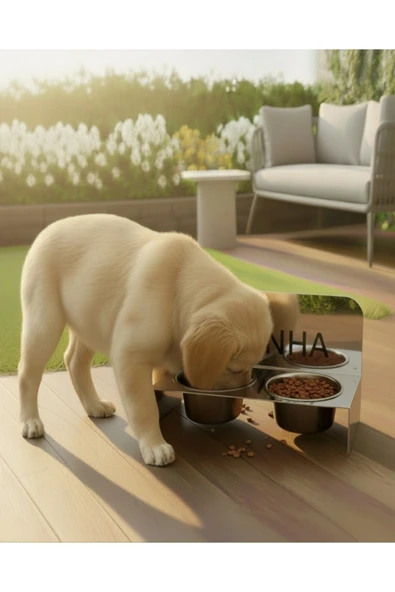 Chalybes Kişiselleştirilebilir İsimli Paslanmaz Çelik Çift Hazneli Köpek & Kedi Mama ve Su Kabı Standı ürün görseli 1