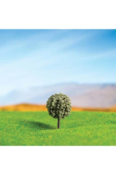 Maket Yuvarlak Çam 2 Cm 6'lı ürün görseli 1