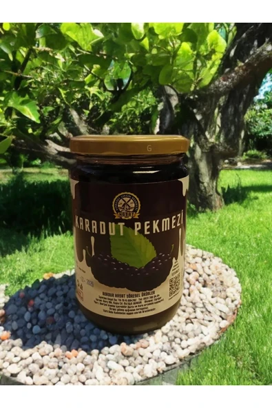 850 ml Doğal Karadut Pekmezi ürün görseli 1