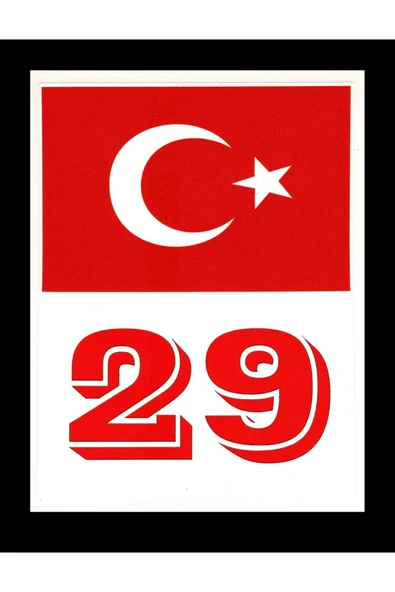 Türkiye Bayraklı Gümüşhane 29 Plaka Kodu Ön Cam Sticker ürün görseli 1