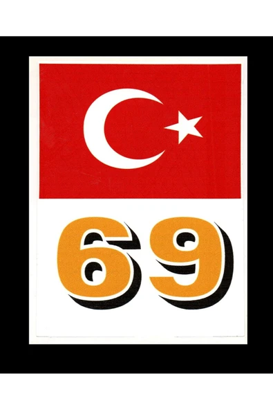 Türkiye Bayraklı Bayburt 69 Plaka Kodu Ön Cam Sticker ürün görseli 1