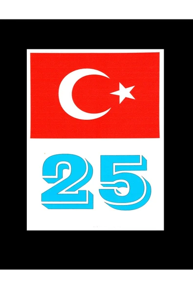 Türkiye Bayraklı Erzurum 25 Plaka Kodu Ön Cam Sticker ürün görseli 1