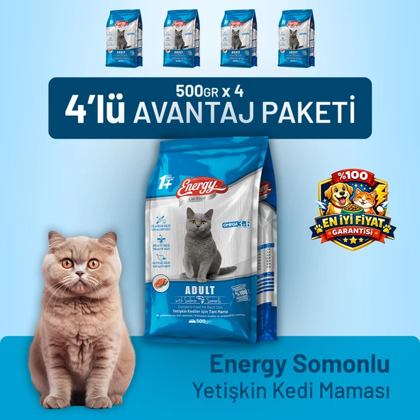 Somonlu Yetişkin Kedi Maması - 4 Adet ürün görseli 1
