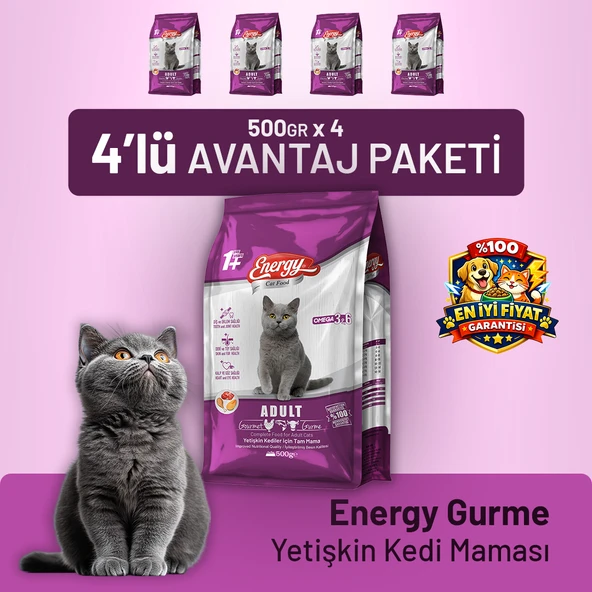 Gurme Yetişkin Kedi Maması - 4 Adet ürün görseli 1