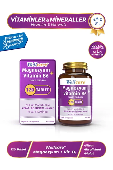 Wellcare Magnezyum Vitamin B6 200/10MG 120 Tablet ürün görseli 1