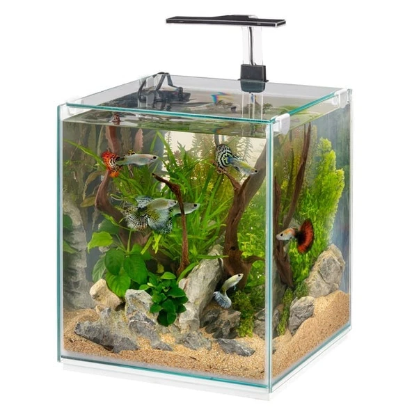 Ferplast Tonga 30 Ledli Akvaryum 30x30xh46 cm - 30 L ürün görseli 1