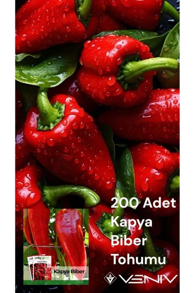 200 Adet Kapya Biber Tohumu ürün görseli 1