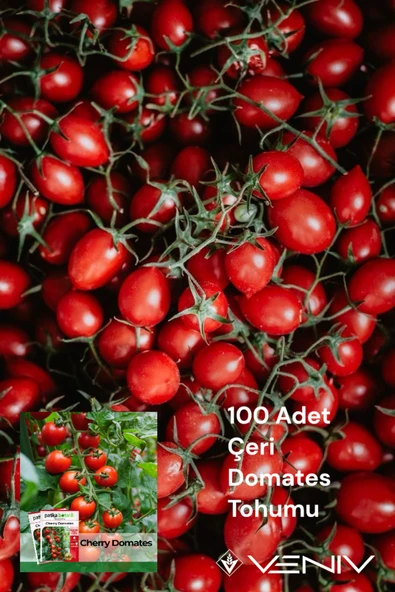 100 Adet Çeri Domates Tohumu 2 Paket ürün görseli 1