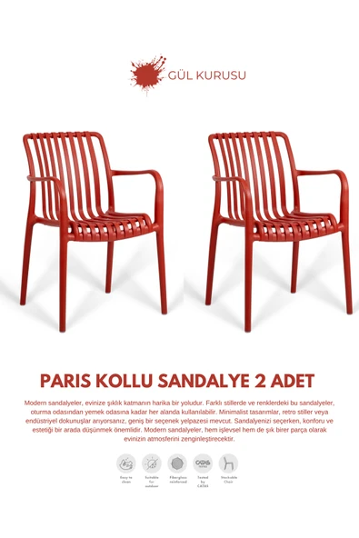 Daim Plastik PARİS | 2 ADET KOLLU LUX CAFE & RESTAURANT SANDALYESİ ürün görseli 1