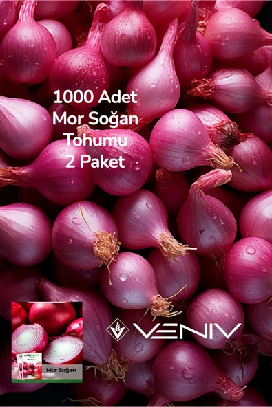 1000 Adet Mor Soğan Tohumu 2 Paket ürün görseli 1