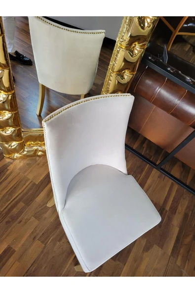 3A Mobilya 3A MOBİLYA GOLD SWAN WORD SANDALYE - Resim 5