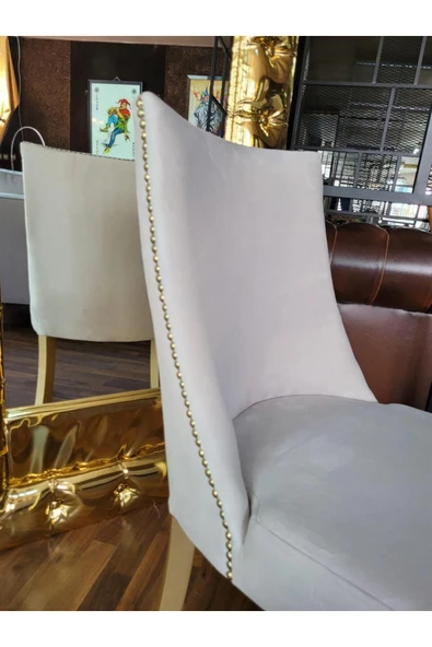 3A Mobilya 3A MOBİLYA GOLD SWAN WORD SANDALYE - Resim 7