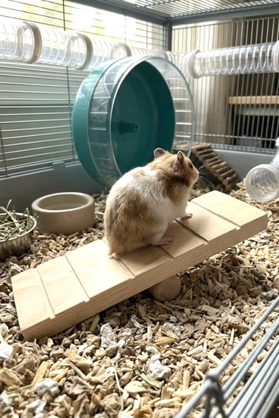 Hamster Oyuncağı Tahtıravalli - Doğal Ahşap - 20x7 cm ürün görseli 1