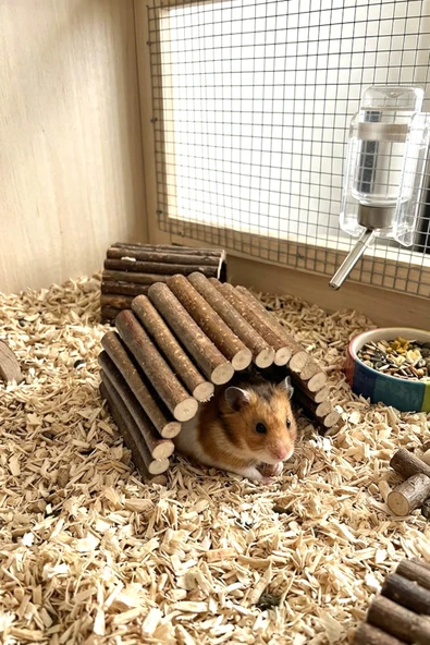 Doğal Ahşap Hamster Tünel Köprü & Yuva ürün görseli 1