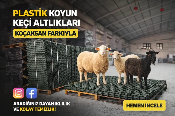KOYUN KEÇİ PLASTİK ALTLIK ürün görseli 1