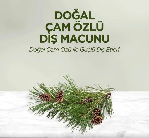 Doğal Diş Macunu 90 Gr Çam Özlü - Resim 2