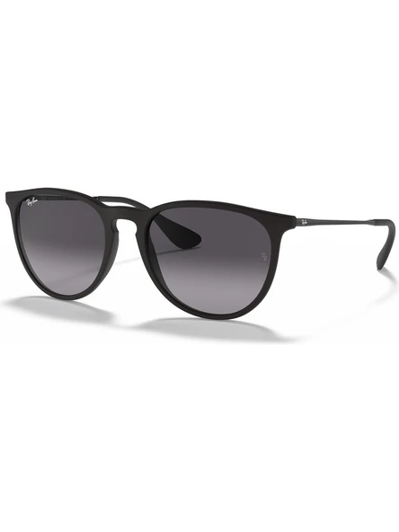 RAYBAN 4171 6228G 54 UNISEX GÜNEŞ GÖZLÜĞÜ ürün görseli 1