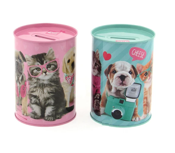 Dolphin Studio Pets Kumbara Pt-6258 ürün görseli 1