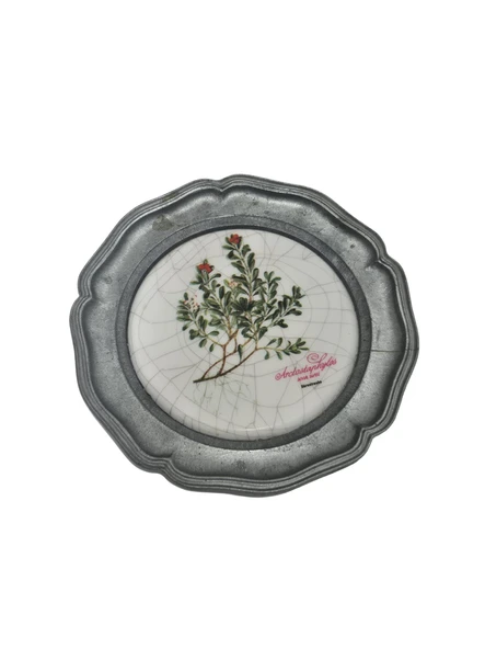 Vintage Zınn Çerçeveli Dekoratif Çiçek Temalı Duvar Tabağı 10cm 009 ürün görseli 1