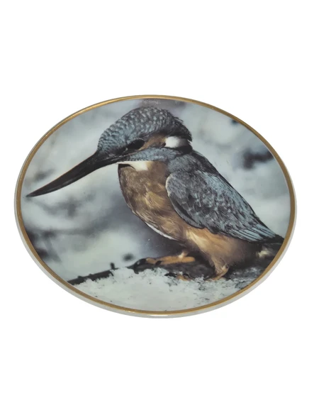 Kahla Vintage Yalıçapkını Temalı Porselen Duvar Tabağı 19,5cm 003 ürün görseli 1