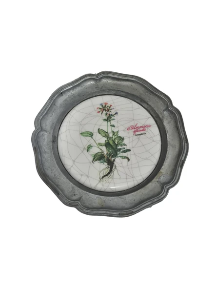 Vintage Zınn Çerçeveli Dekoratif Pulmonaria Officinalis Bitkisi Temalı Duvar Tabağı 10cm 007 ürün görseli 1