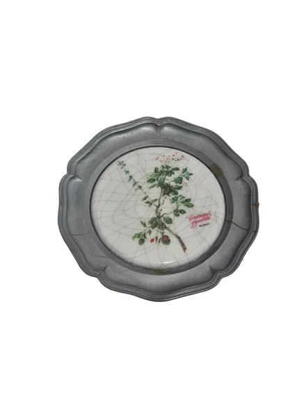 Vintage Zınn Çerçeveli Dekoratif Alıç Bitkisi Temalı Duvar Tabağı 10cm 013 ürün görseli 1